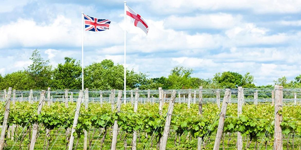 The Resurgence of English Wine