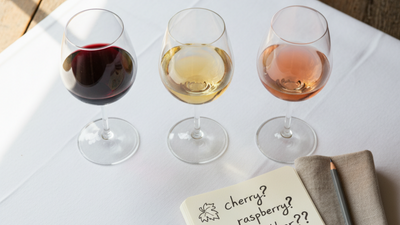 How To Taste Wine - And Sound Like a Pro